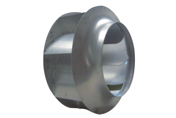 �Չ��C-��ROSENBERG�x���L��